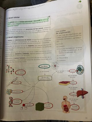 Biología y geología, 3 ESO, Operación mundo