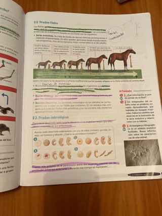 Biología y Geología, 4 ESO, Andalucía