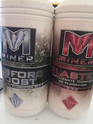 Pack Miner 1L: Fosforo Boost y Blaster