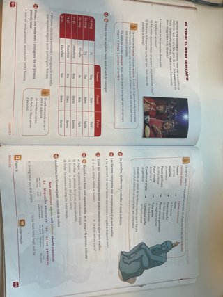 Llengua catalana, Primària, cicle superior 5è