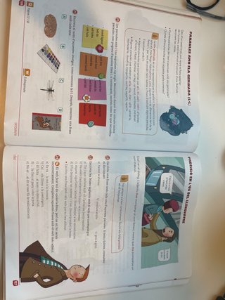 Llengua catalana, Primària, cicle superior 5è