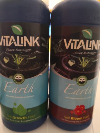 Pack 2 Vitalink Earth 1L