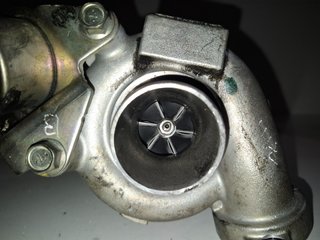 GUARNECIDO PUERTA TRASERA DERECHA FORD FIESTA (CNN) C1BBA27406AB 1503951