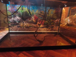 Acuario Aquatlantis Negro y Multicolor