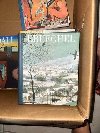 Libro d'arte Pieter Bruegel