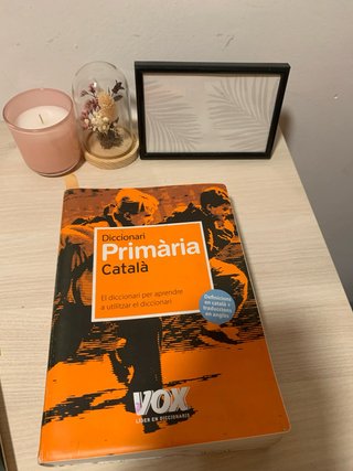 Diccionari box català