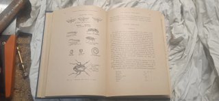 Libro antiguo