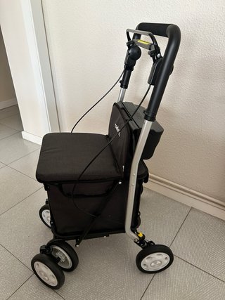 Andador y carro de la compra Carlett