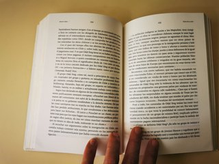 Libro Diario de un skin - Antonio Salas