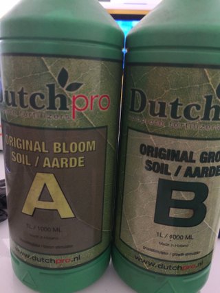 Dutch Pro A+B 1L (Bloom/Growth)