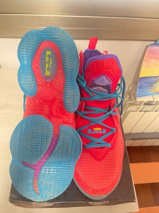 Zapatillas Nike Lebron XIX Edición Especial