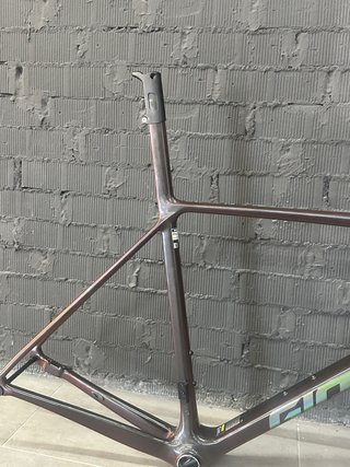Cuadro Giant TCR Advanced SL 0 Talla L