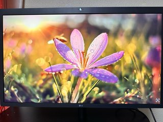 Monitor LG UltraFine 5K 27 para Mac