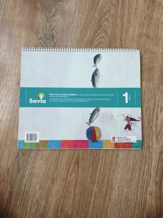 Plástica, 1 Primaria Savia