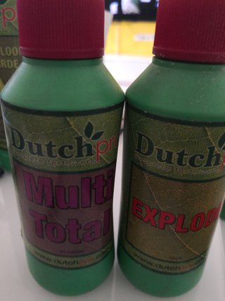 Dutch Pro Pack 250ml