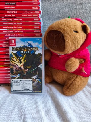 Monster Hunter Rise Nintendo Switch