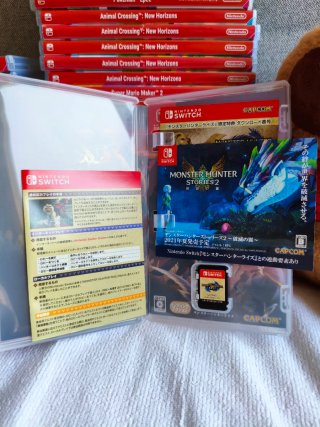 Monster Hunter Rise Nintendo Switch