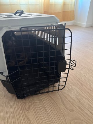 Transportín perro mediano rigido