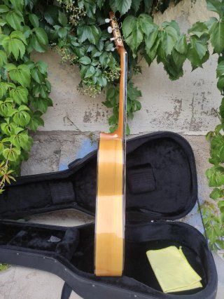 Guitarra Flamenca con Funda