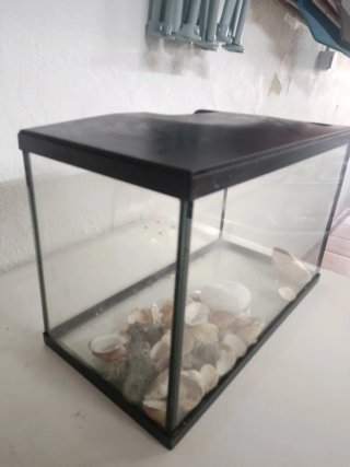 Pecera con piedras y conchas