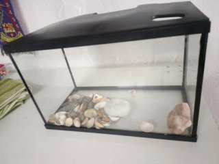 Pecera con piedras y conchas