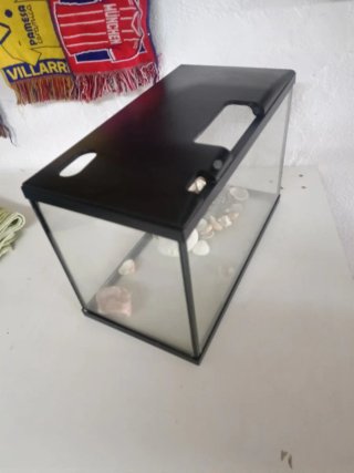 Pecera con piedras y conchas