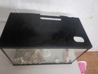Pecera con piedras y conchas