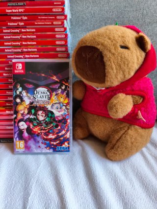 Demon Slayer Hinokami Chronicles Switch