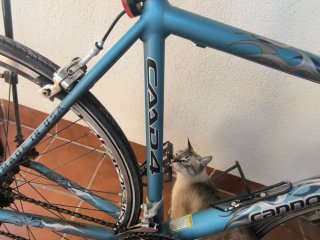 Bicicleta Cannondale CAAD4 Cicloturismo