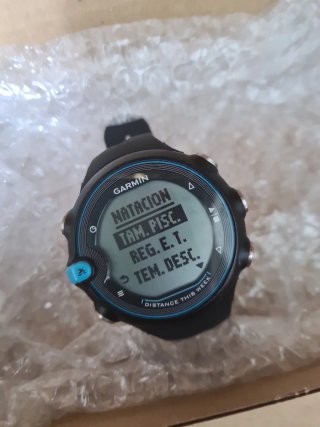Garmin Swim