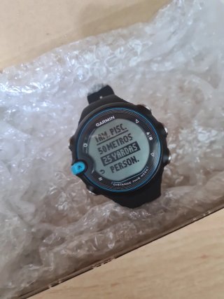 Garmin Swim