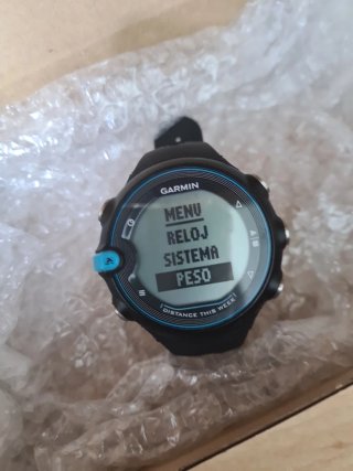 Garmin Swim