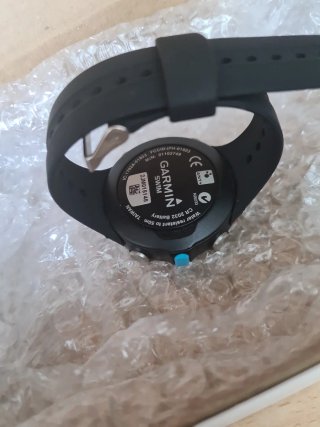 Garmin Swim