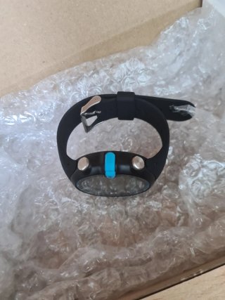 Garmin Swim