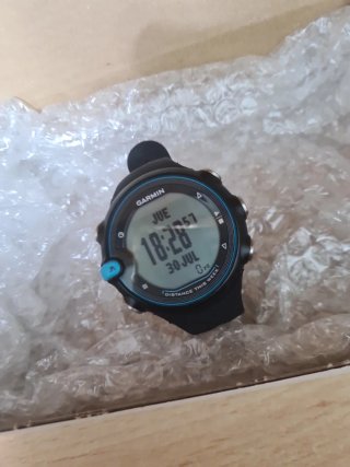 Garmin Swim