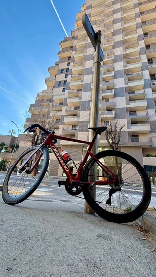 Megamo Pulse Elite 05 CW