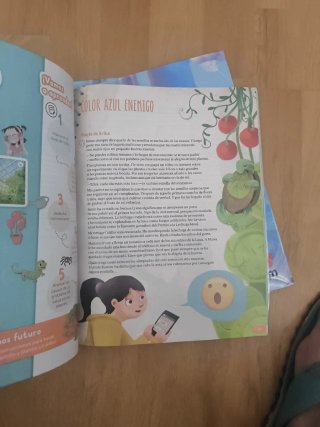 Lengua castellana y literatura, 5 Primaria Revuela