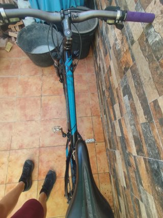 Orbea MX 29 Bicicleta Montaña