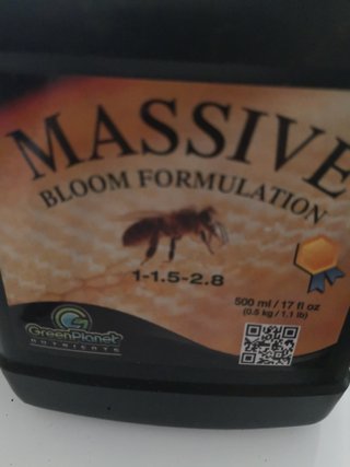 Green Planet Massive Bloom Formulation 500ml
