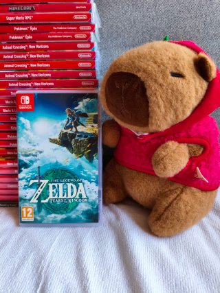 Zelda Tears of the Kingdom Nintendo switch