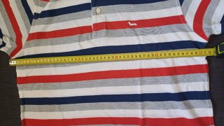Polo Harmont & Blaine taglia L