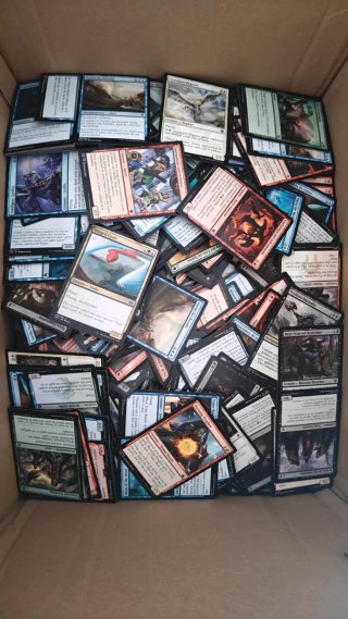 Caja de cartas Magic: The Gathering