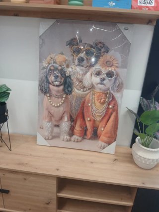 Cuadro Decorativo Perros con Gafas