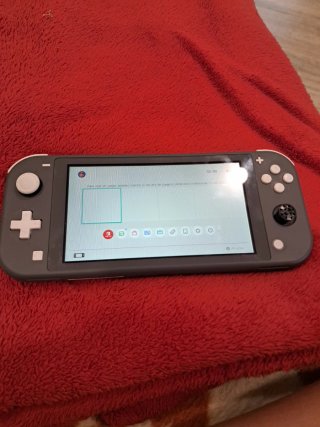 Nintendo Switch Lite Grigio