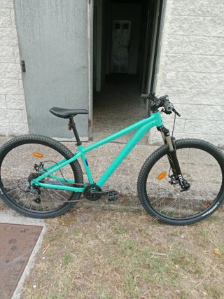 Bicicleta de Montaña