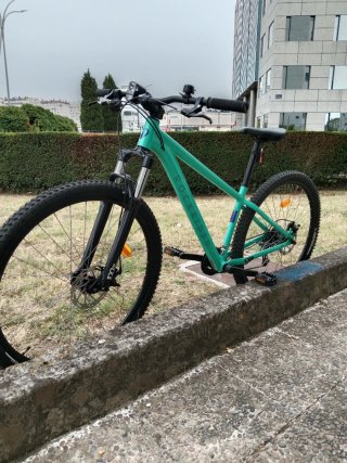 Bicicleta de Montaña