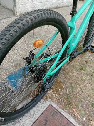 Bicicleta de Montaña