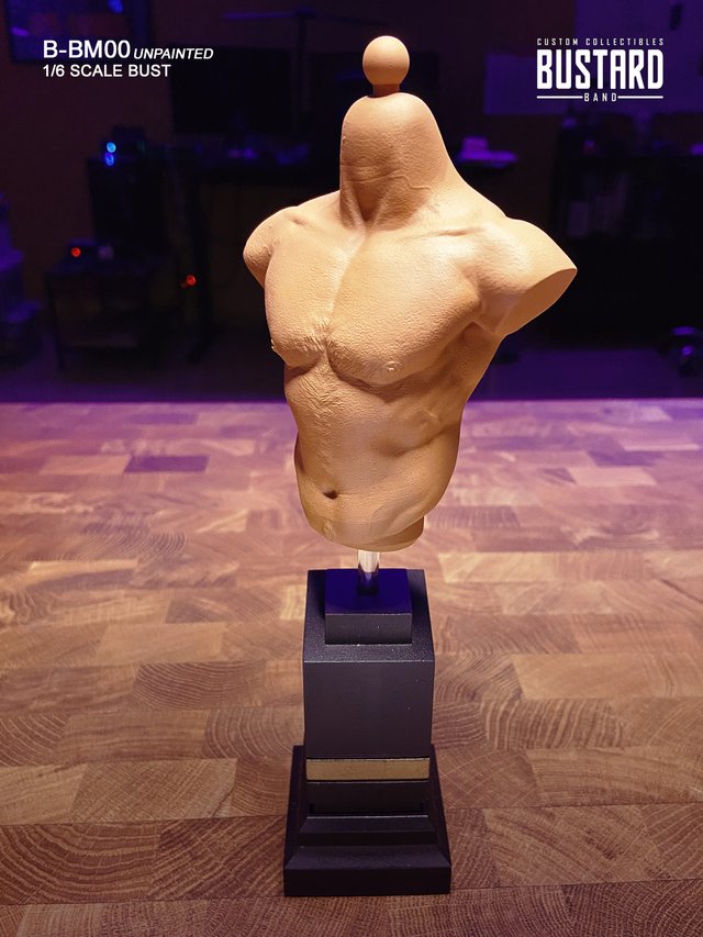 MALE BUST STANDARD 1/6 Resina HD - Exclusivo