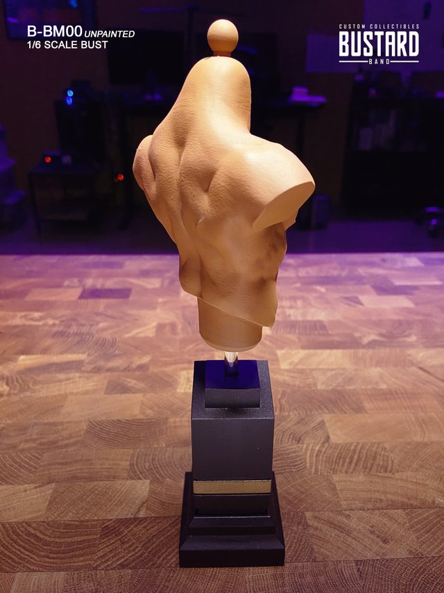 MALE BUST STANDARD 1/6 Resina HD - Exclusivo