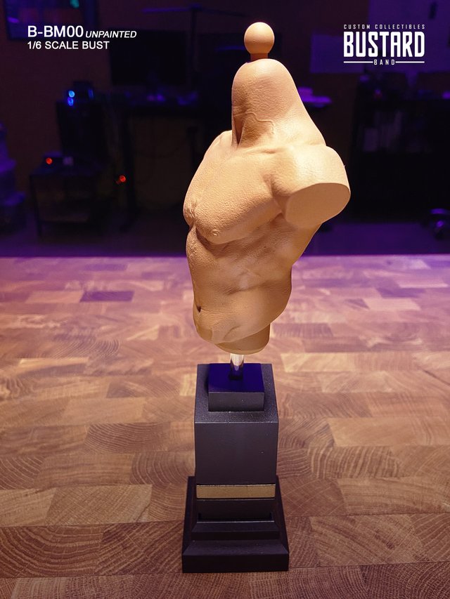 MALE BUST STANDARD 1/6 Resina HD - Exclusivo